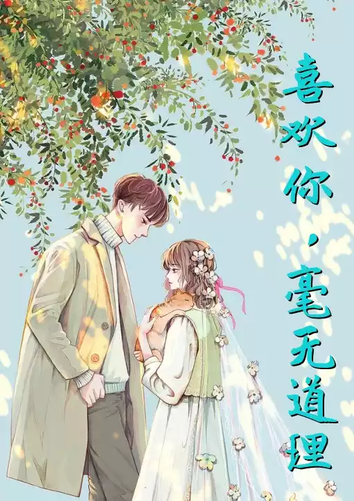 喜欢你毫无道理小说