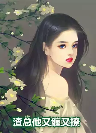 渣总他又缠又撩小说