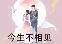 今生不相见小说