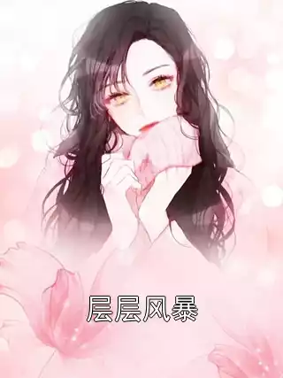 层层风暴小说