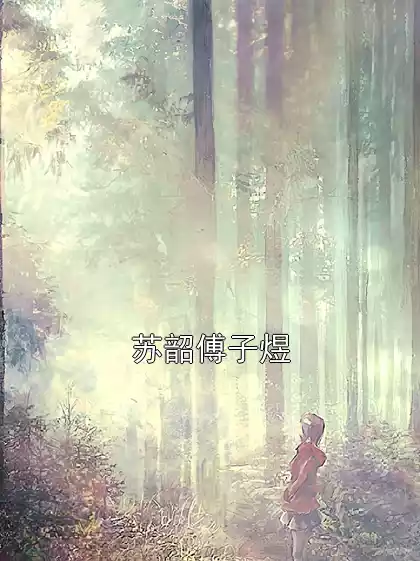 苏韶傅子煜小说