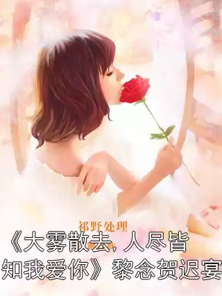 《大雾散去,人尽皆知我爱你》黎念贺迟宴小说