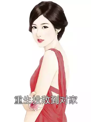 重生投敌到对家小说