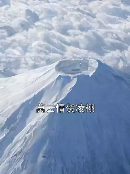 莫云情贺凌栩小说