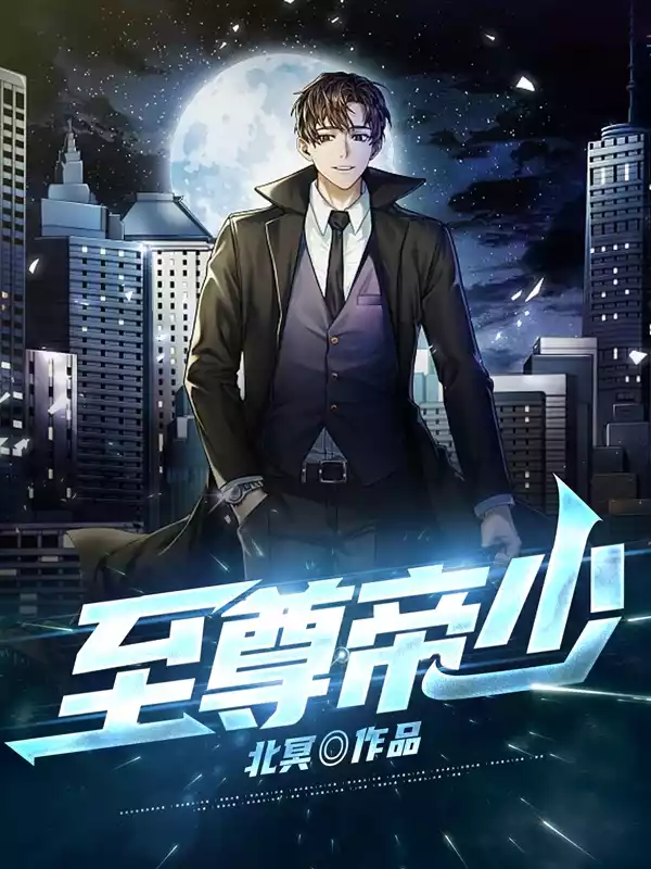 至尊帝少小说