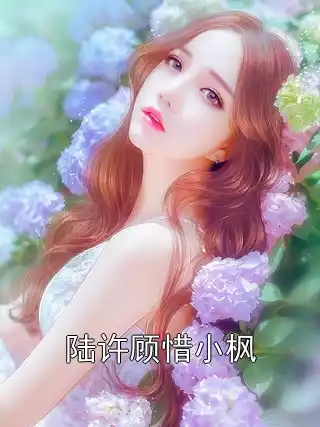 陆许顾惜小枫