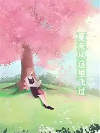 夏天从这里飞过小说