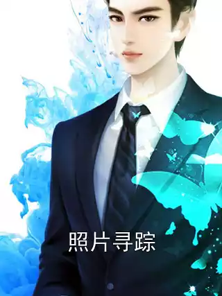照片寻踪小说