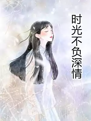时光不负深情小说