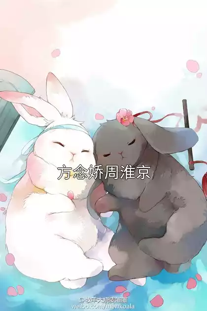 方念娇周淮京小说