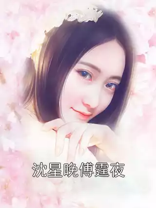 沈星晚傅霆夜