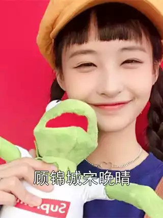 顾锦城宋晚晴小说