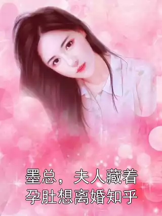 墨总，夫人藏着孕肚想离婚知乎小说