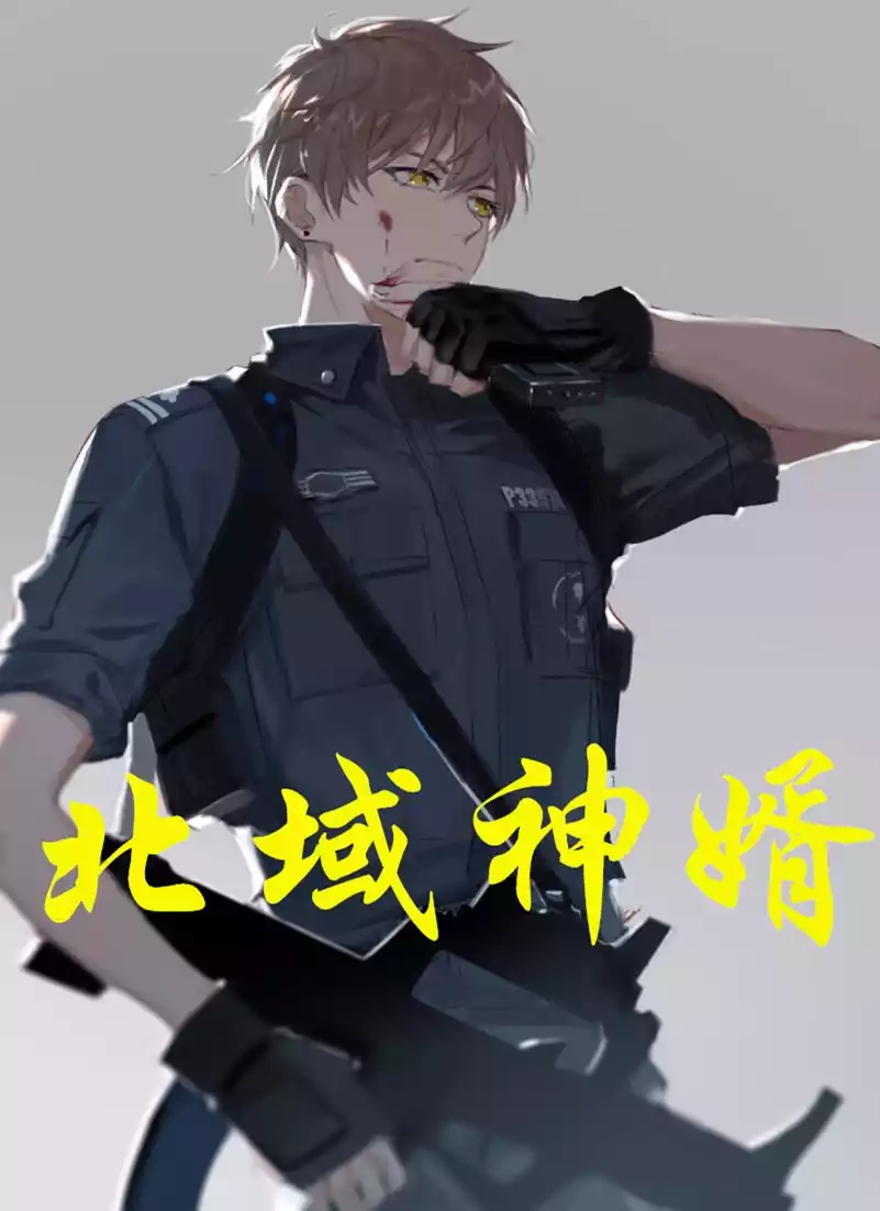 北域神婿小说