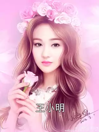 王小明小说