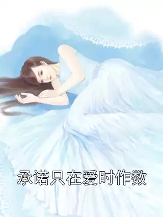 承诺只在爱时作数小说