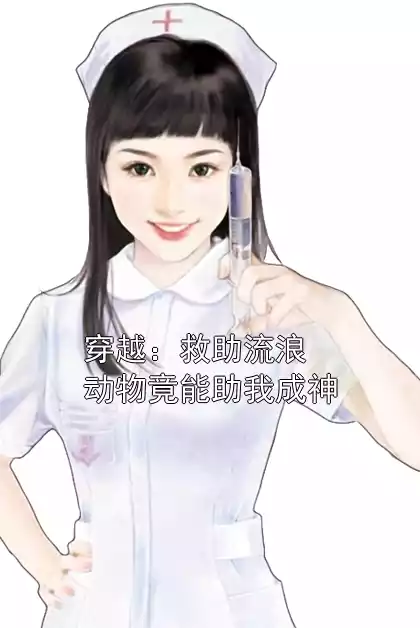 穿越：救助流浪动物竟能助我成神小说