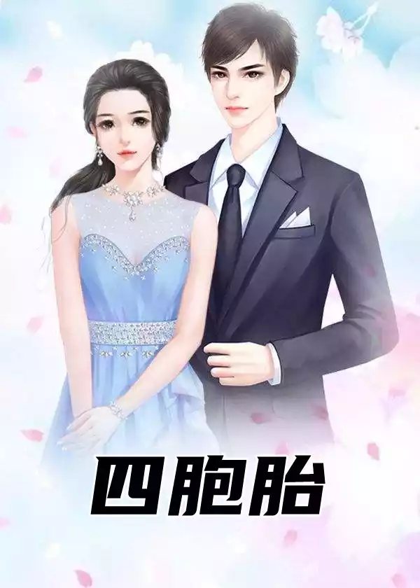 四胞胎小说小说