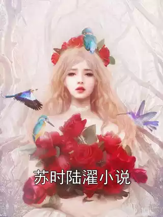 苏时陆濯小说小说