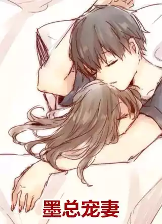 墨总宠妻小说