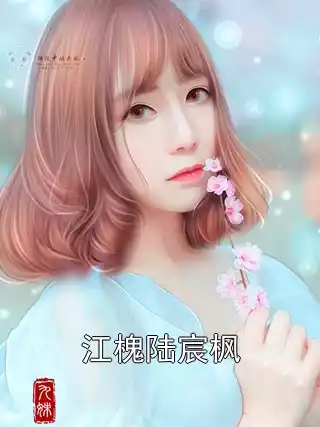 江槐陆宸枫小说