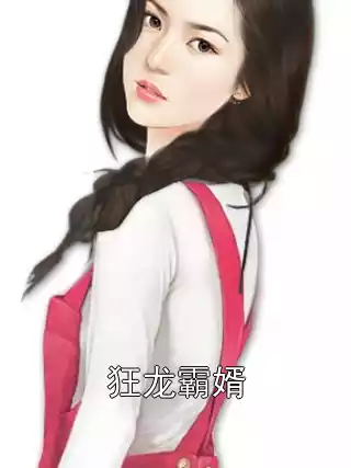 狂龙霸婿小说