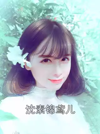 沈素锦鸢儿小说