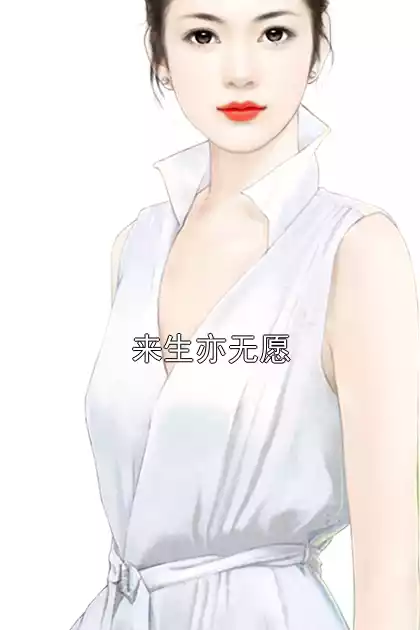 来生亦无愿小说