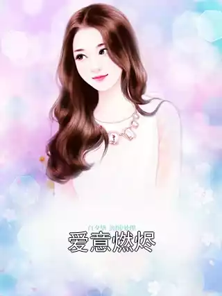 爱意燃烬小说