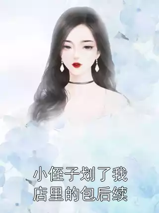 小侄子划了我店里的包后续