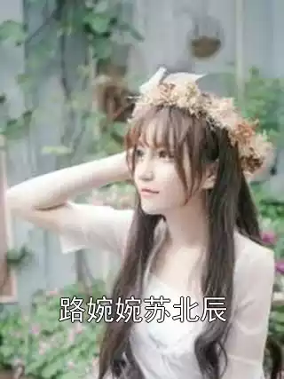路婉婉苏北辰小说