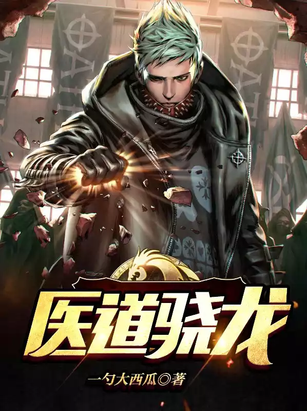 医道骁龙小说