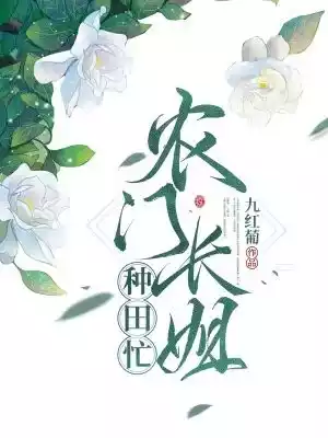 农门长姐种田忙小说