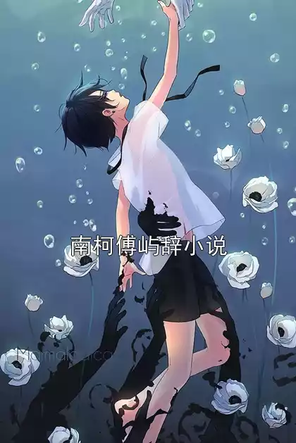 南柯傅屿辞小说