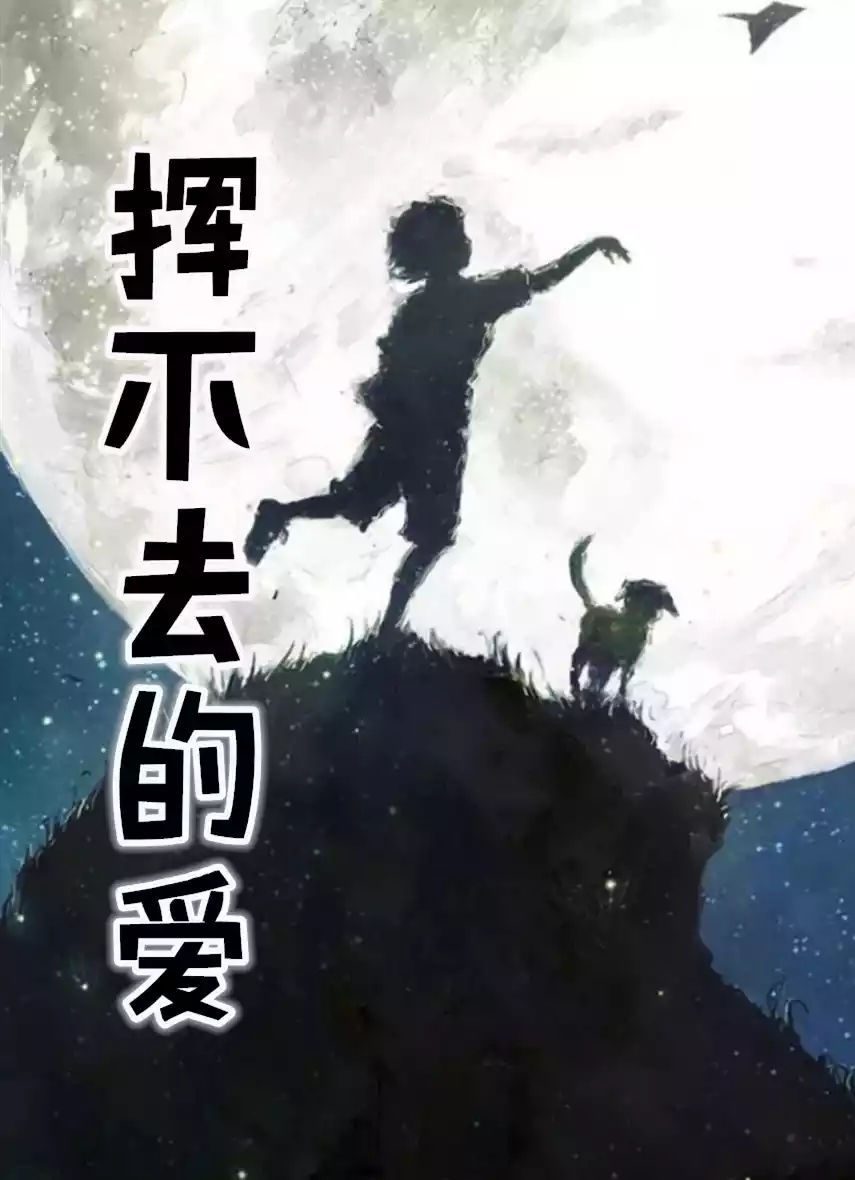 挥不去的爱