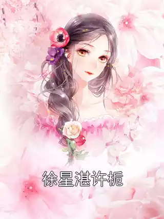 徐星湛许栀小说