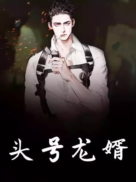 头号龙婿小说