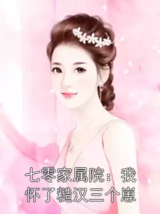 七零家属院：我怀了糙汉三个崽小说