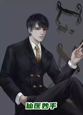 仙医妙手小说