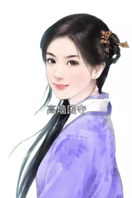 高墙困守小说