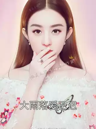 大雨落爱已迟