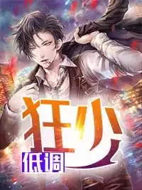 低调狂少小说