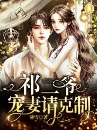 祁二爷宠妻请克制小说