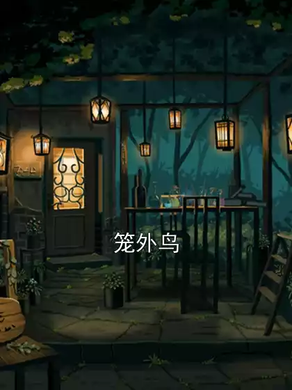 笼外鸟小说