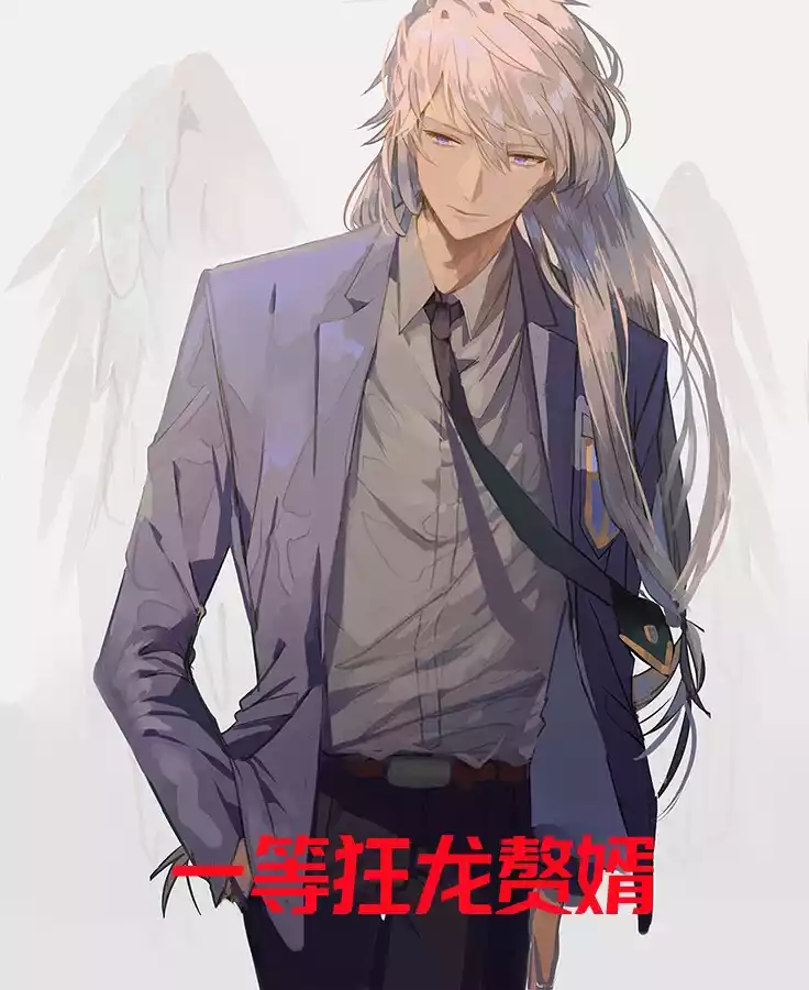 一等狂龙赘婿小说