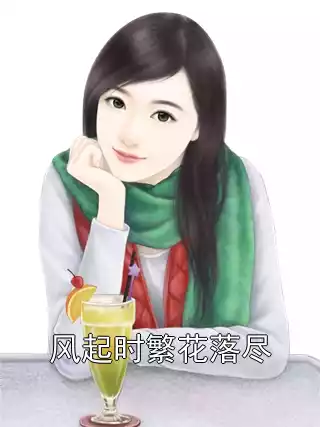 风起时繁花落尽小说