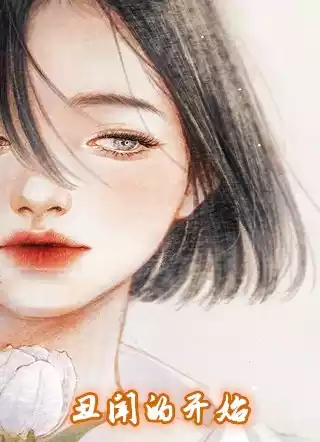 丑闻的开始小说