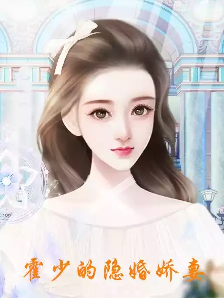霍少的隐婚娇妻小说
