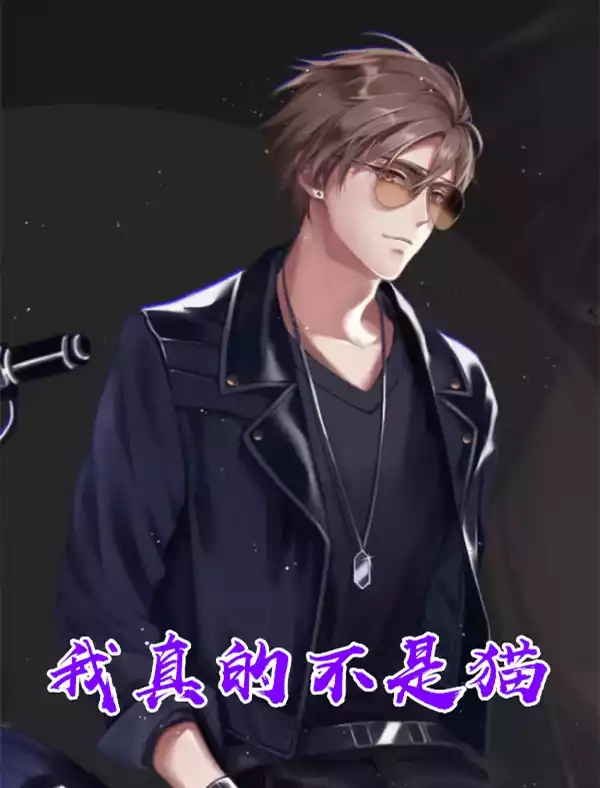 我真的不是猫