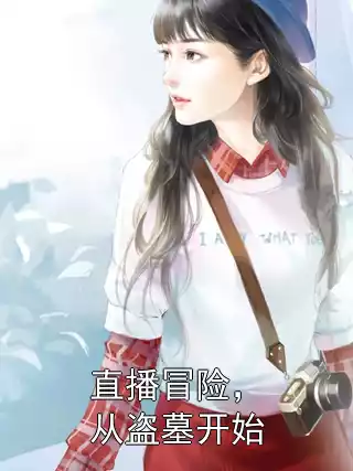 直播冒险，从盗墓开始小说